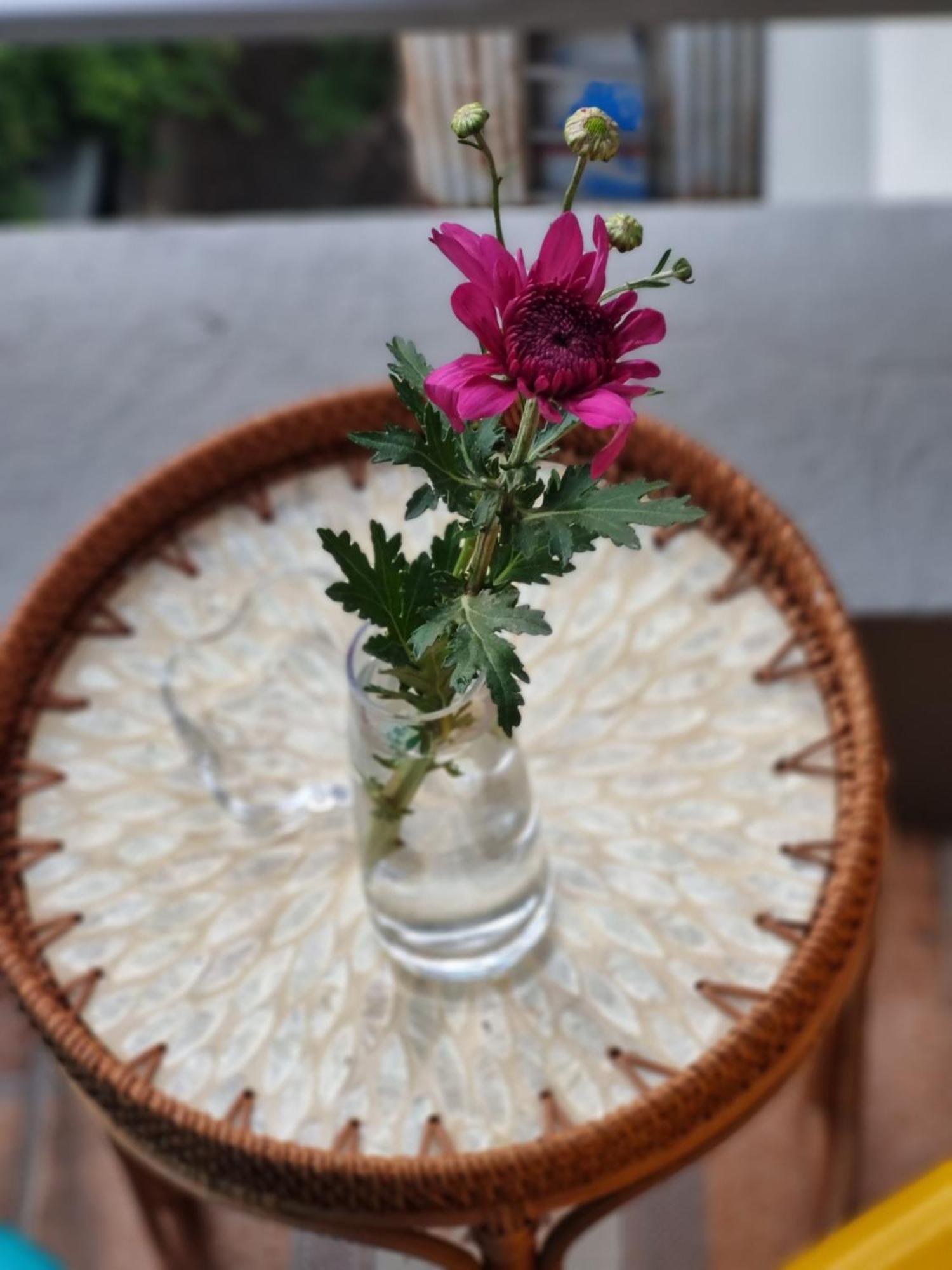 May'S Cottage Hà Nội Ngoại thất bức ảnh