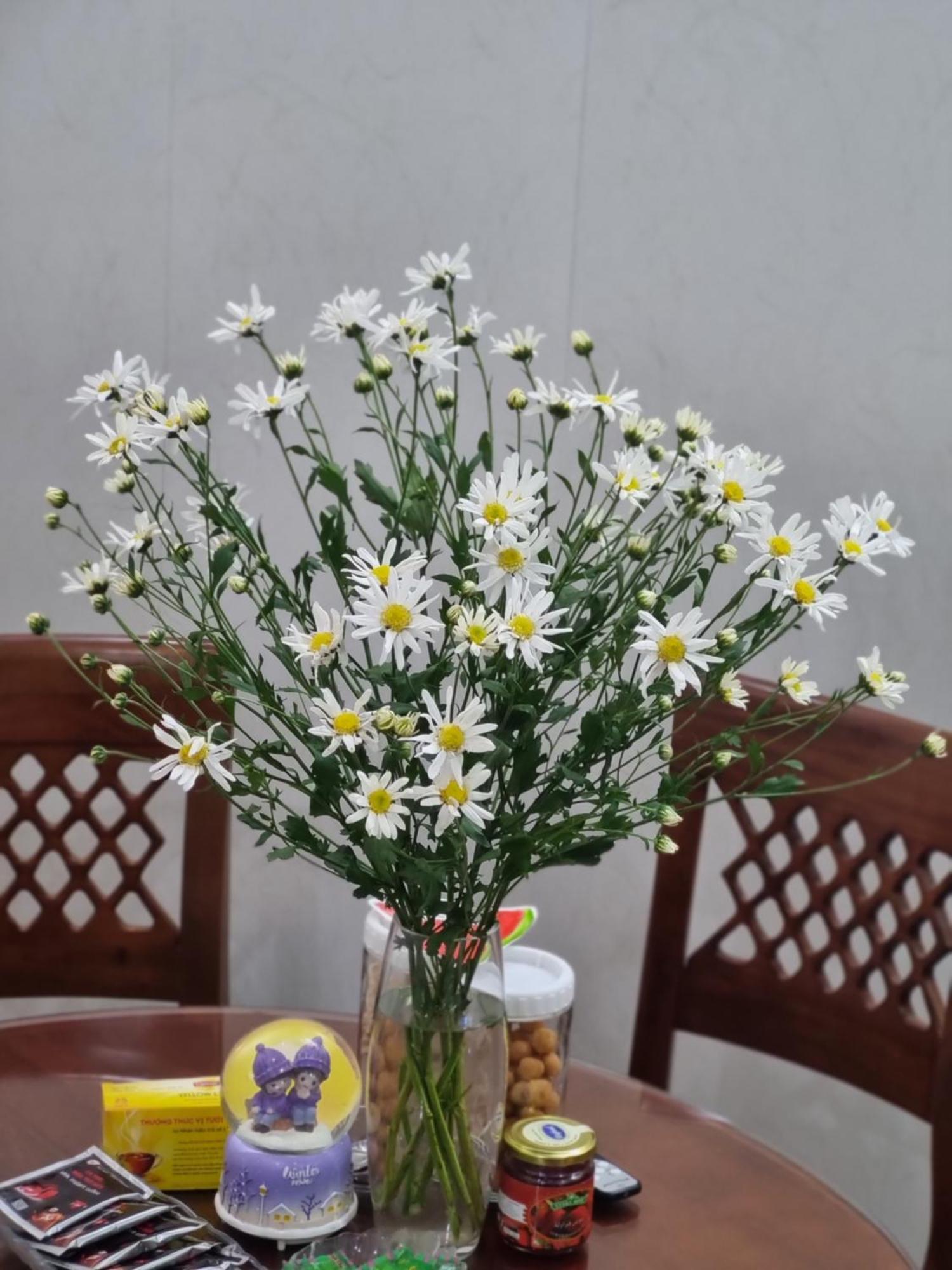 May'S Cottage Hà Nội Ngoại thất bức ảnh