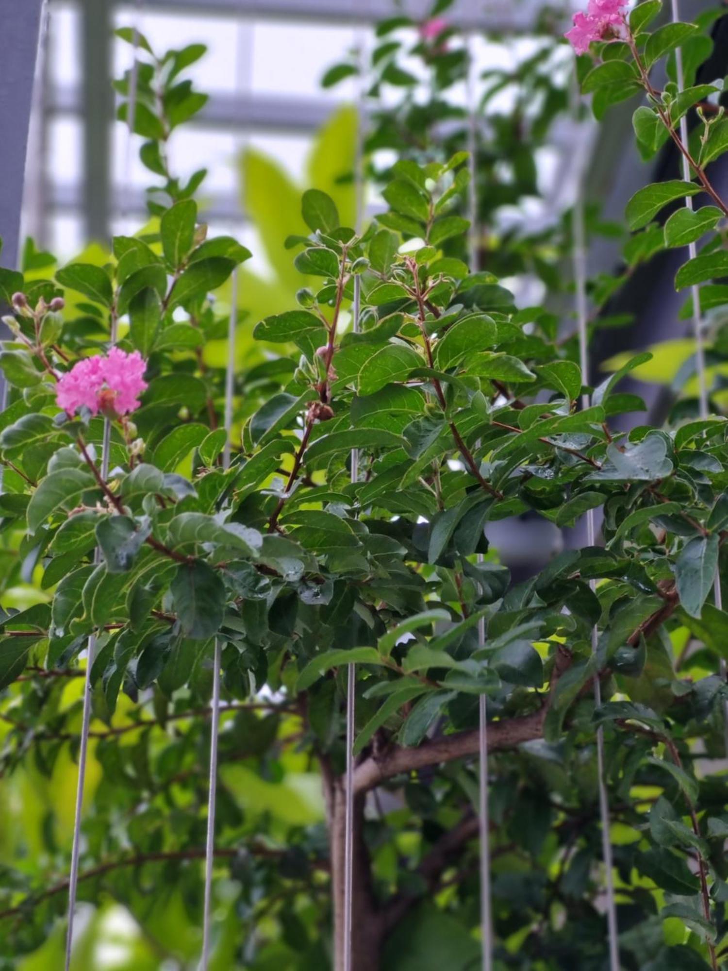 May'S Cottage Hà Nội Ngoại thất bức ảnh