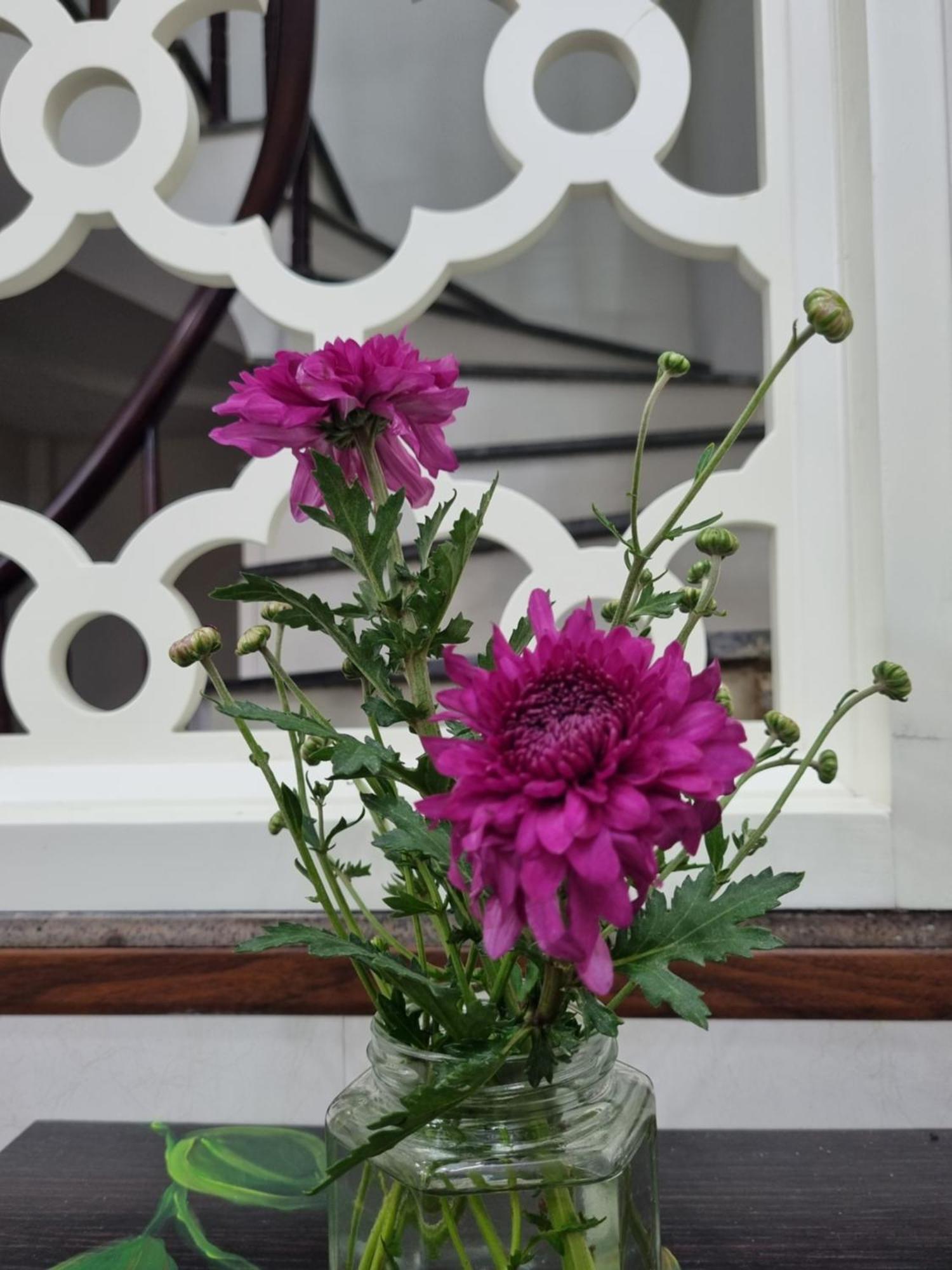 May'S Cottage Hà Nội Phòng bức ảnh